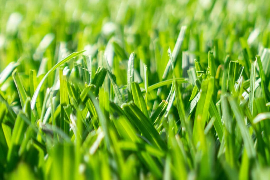 High-performance lawn mower blades and turf maintenance components